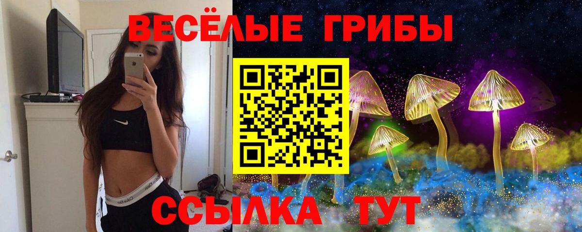 Камышлов  Псилоцибиновые грибы ЛСД  Вход с VPN 